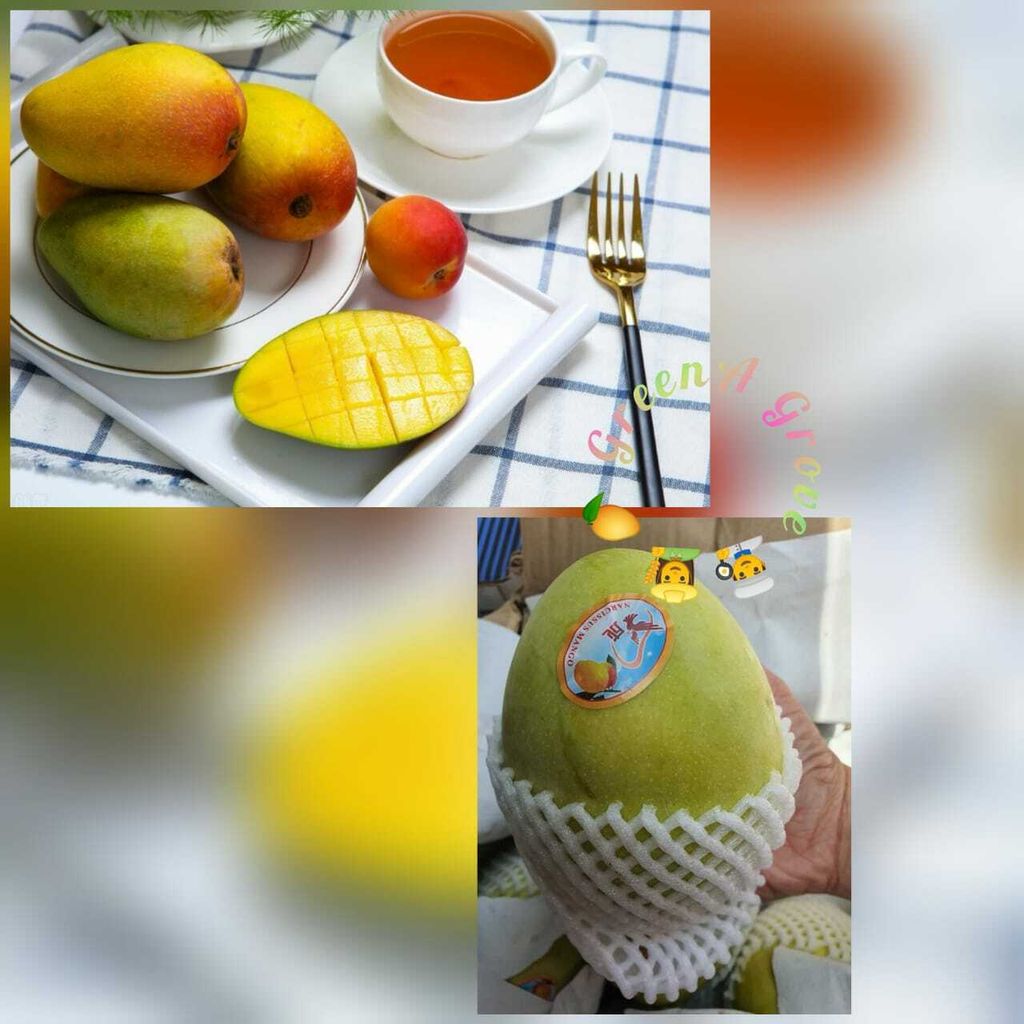 China Premium Narcissus Mangoes.jpeg