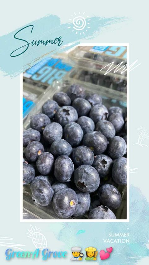 South Africa Finest Blueberries.jpeg