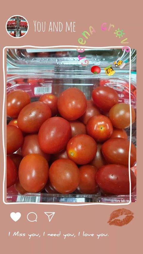 Pahang Premium Grape Cherry Tomatoes.jpeg