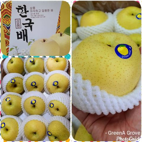 Korea Variety Golden Pears.jpeg