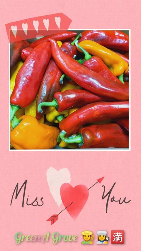 Pahang Premium Sweet Palermo® Chilli Peppers.jpeg