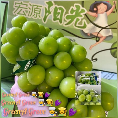 Air-Flown Japan Variety Premium Natural Fresh Shine Muscat Grapes 阳光玫瑰葡萄 (600 - 700gms).jpeg