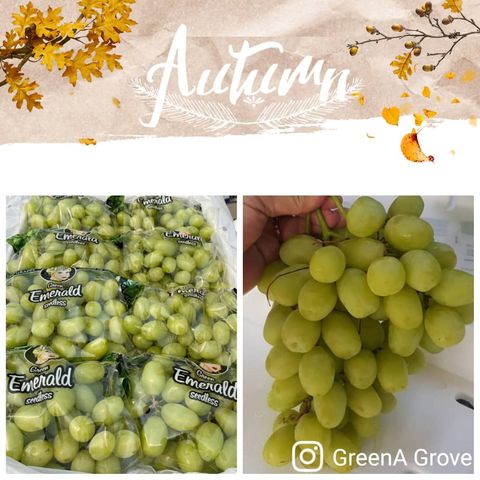 USA Premium Green Emerald Seedless Grapes.jpeg