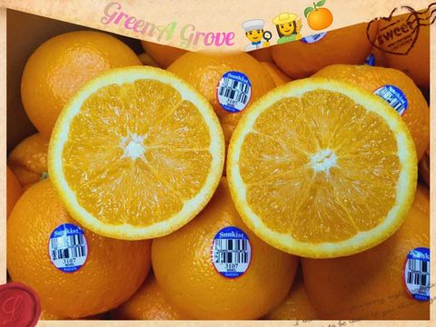 Australia Premium Sunkist Oranges (Premium Navel).jpeg