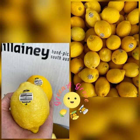 Australia Premium Hand-Picked Fresh Lemons.jpeg