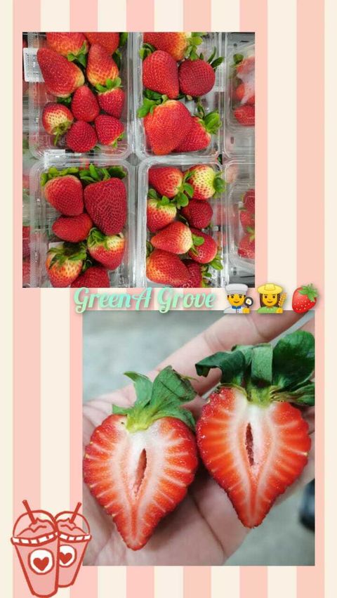 Australia Premium Fresh Strawberries (Jumbo).jpeg