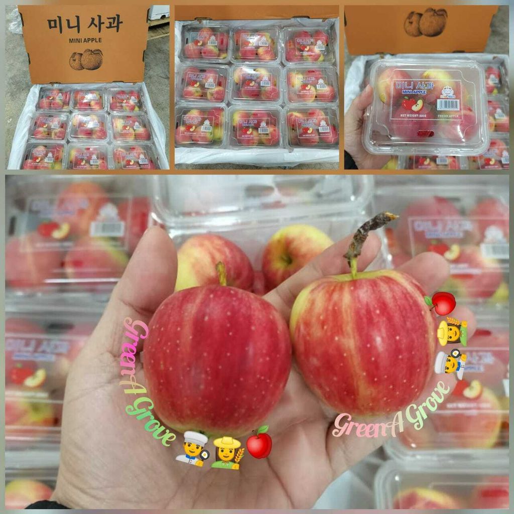 Korea Variety Premium Mini Cherry Fresh Apples.jpeg