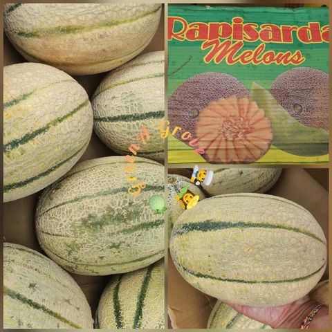 Australia Premium Rockmelon 澳洲摇滚蜜瓜.jpeg