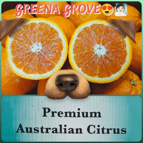 Australia Premium Family Grown since 1946 Cara Cara Navel Oranges.jpeg