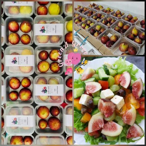 Japan Variety Premium Highland Greenhouse Ichijiku Fresh Red Figs (Pre-Order).jpeg
