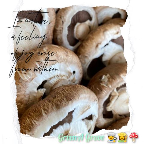 Local Premium Pesticide-Free Portobello Swiss Brown Mushrooms.jpeg