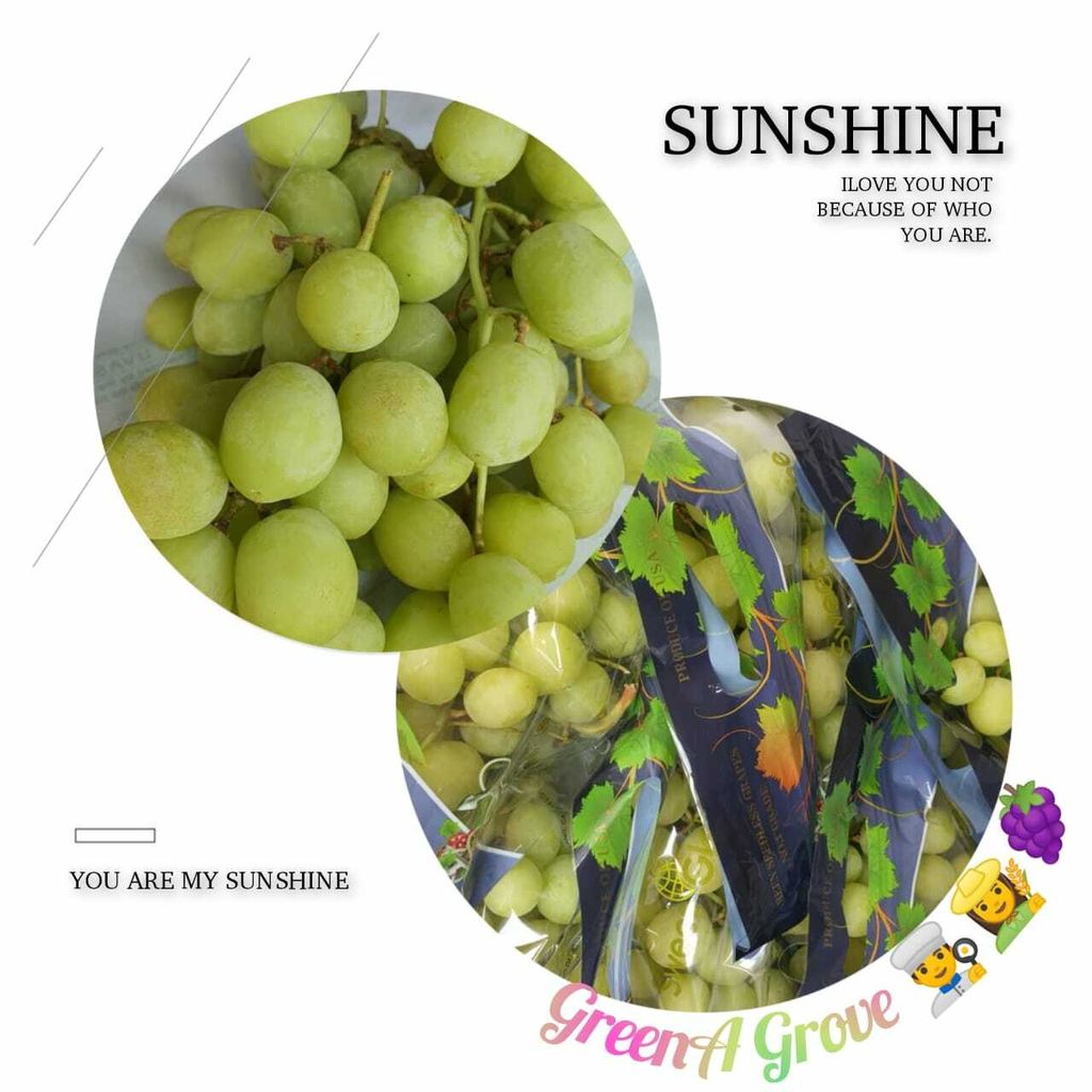 Air-Flown USA Premium Green Seedless Grapes (Sweet Globe ®).jpeg