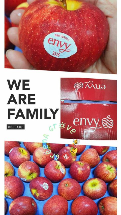 New Zealand Premium Envy Apples (Scilate) (Size M).jpeg