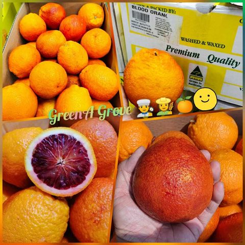 Australia Premium Sweet Navel Oranges Arnold Blood 澳大利亚红肉血橙.jpeg