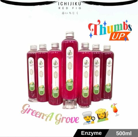 Homemade Organic Fruit Enzyme (Pre-Order).jpeg