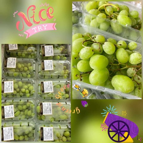 Spain Premium White Seedless Sugar Crisp Grapes.jpeg