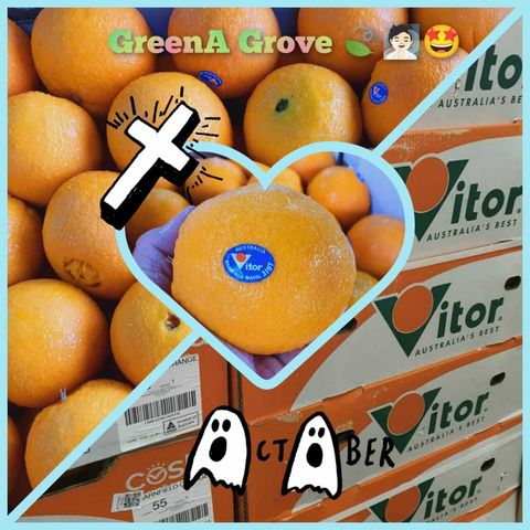 Australia Premium Barnfield Oranges (Premium Lane Late Navel).jpeg