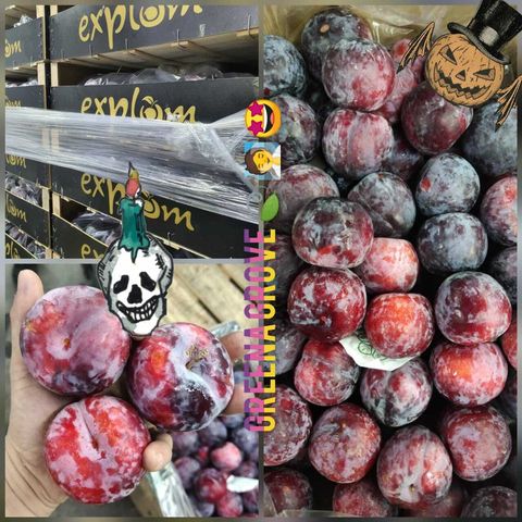 Japan Variety (Origin Spain) Premium Angelino Plums.jpeg