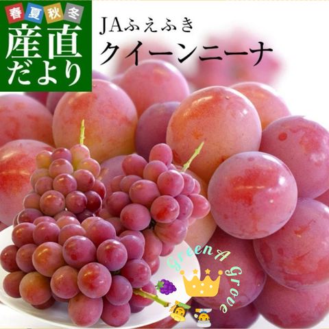 Japan Premium Queen Nina Grapes.jpeg