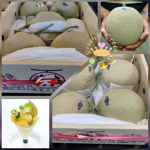 Japan Premium Greenhouse Shizuoka Crown Green Melon 静岡クラウンメロン (Pre-Order - Call For Price).jpeg