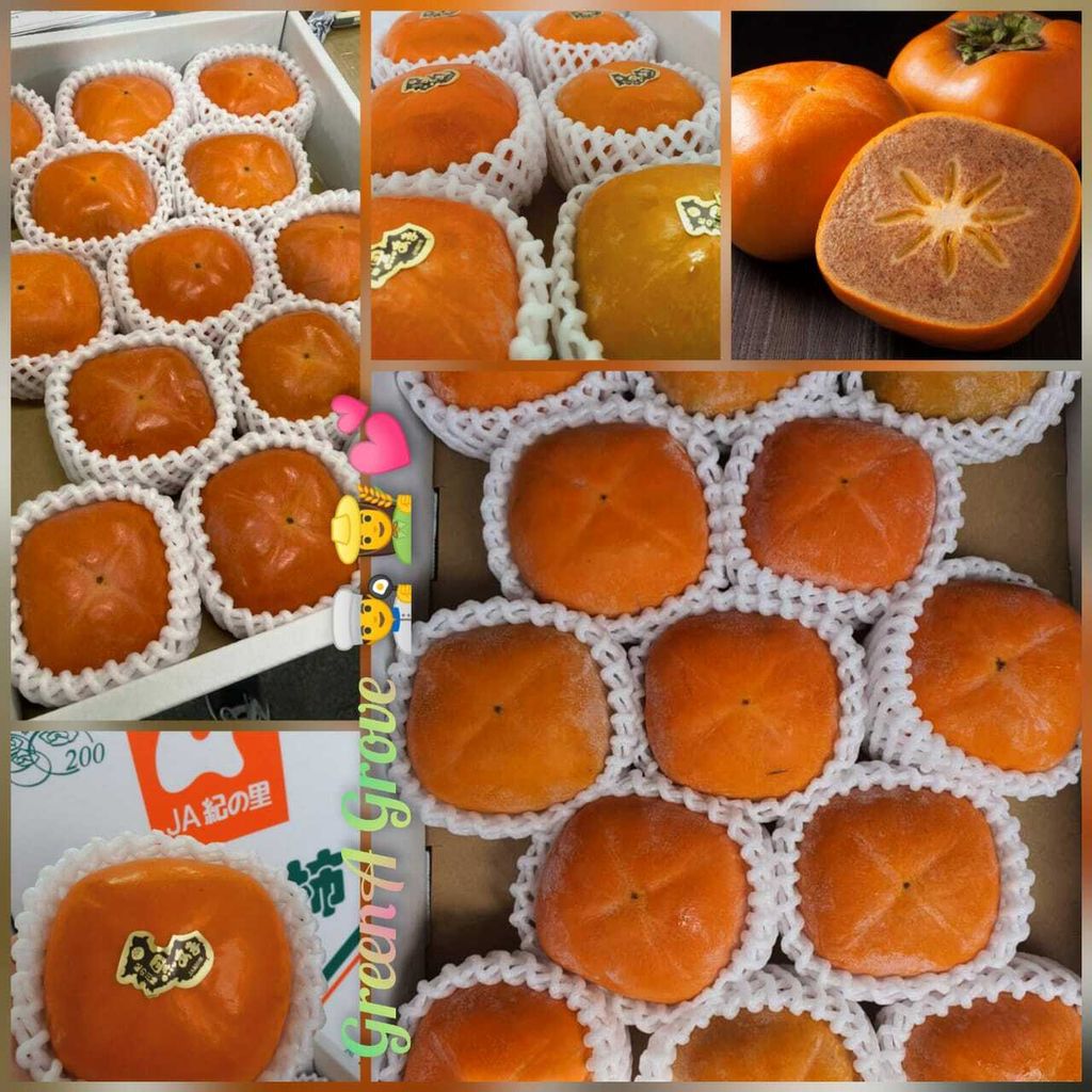 Japan Premium Fresh Kaki (柿) Sesame Persimmons (Pre-Order - Call For Price).jpeg