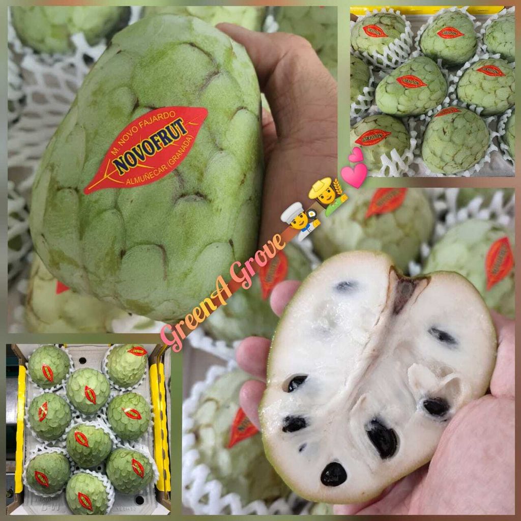 Spain Premium Fresh Custard Apples Sugar Apples 西班牙凤梨释迦 ~ 番荔枝.jpeg