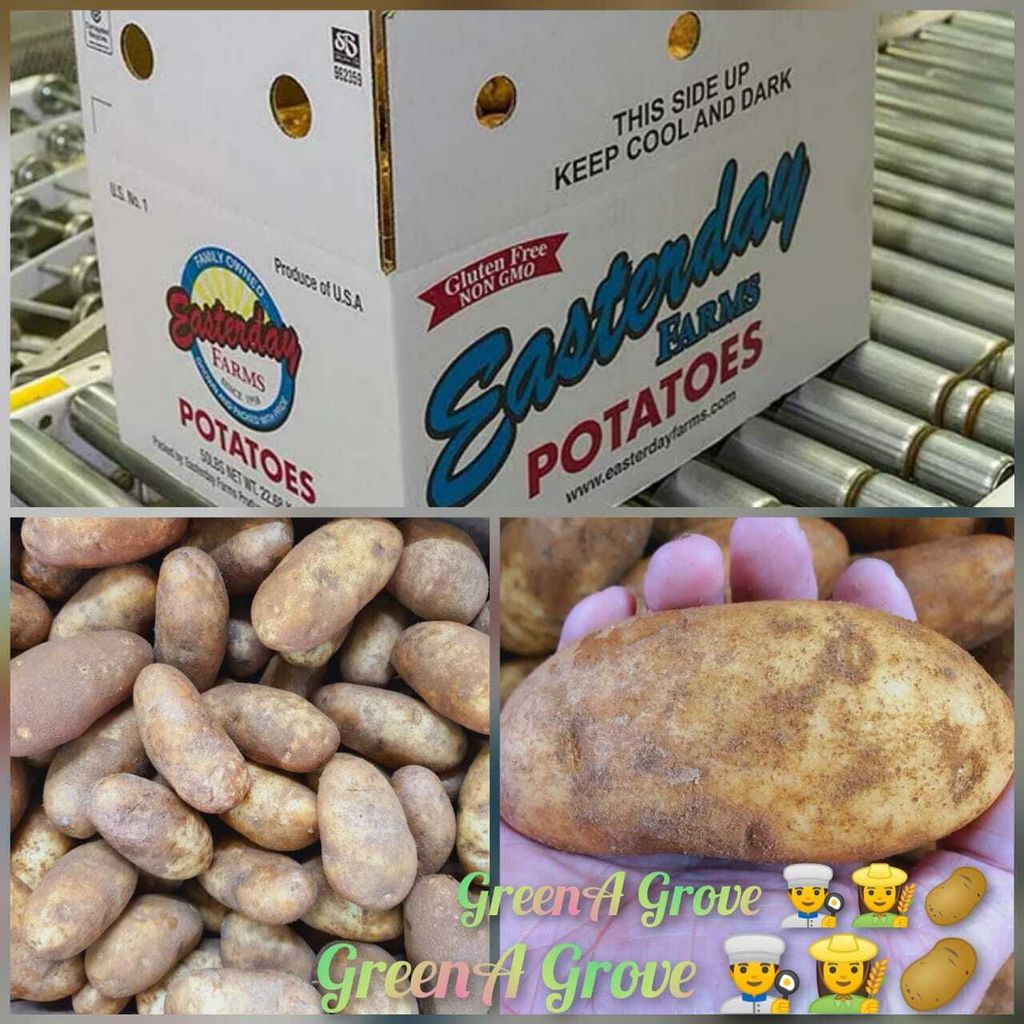 Air-Flown USA Premium Norkota Russet Potatoes.jpeg