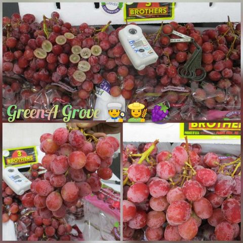 Air-Flown USA Premium Red Seedless Grapes (Sweet Celebration).jpeg