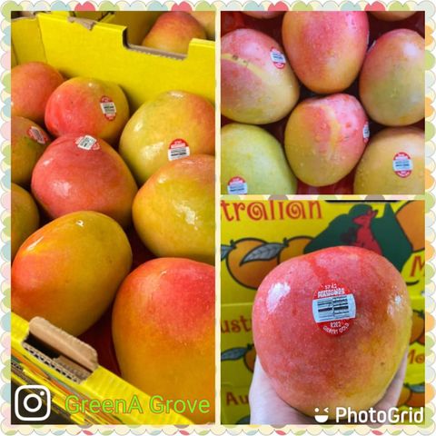 Australia Premium Gilbert Gold Mango (R2E2).jpeg
