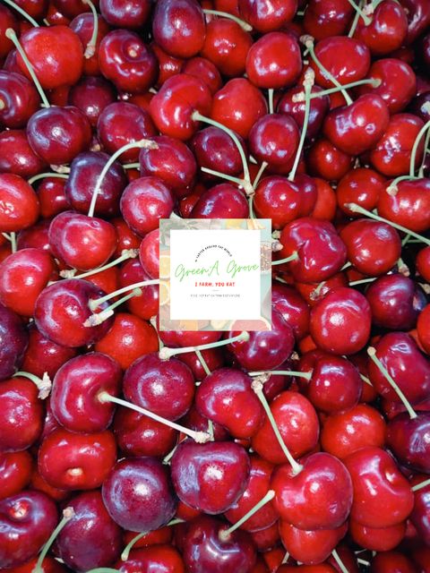 Australian Premium Fresh Cherries (Glen Red) [2].jpeg