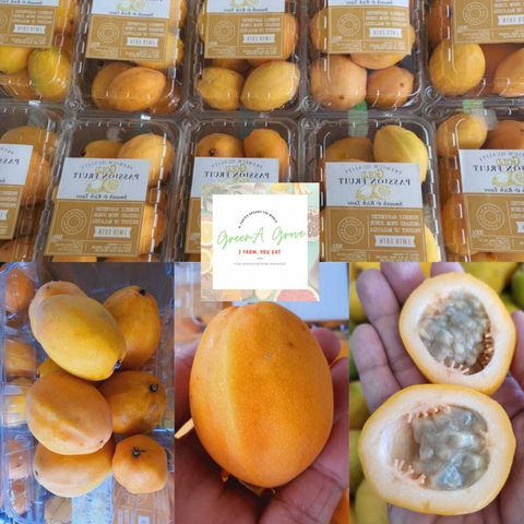 Malaysia Premium 100% Natural Golden Honey Granadilla Passion Fruit 金蜜百香果.jpeg