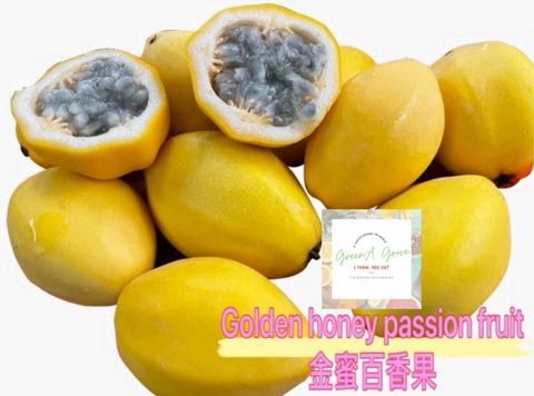 Malaysia Premium 100% Natural Golden Honey Granadilla Passion Fruit 金蜜百香果 [2].jpeg