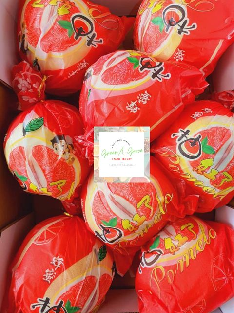 Sweet Premium Valentine Pomelo (Red Sweetheart Pomelo) [2].jpeg