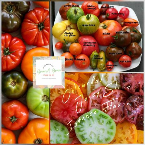 Pahang Premium Heirloom Medley Tomatoes [2].jpeg