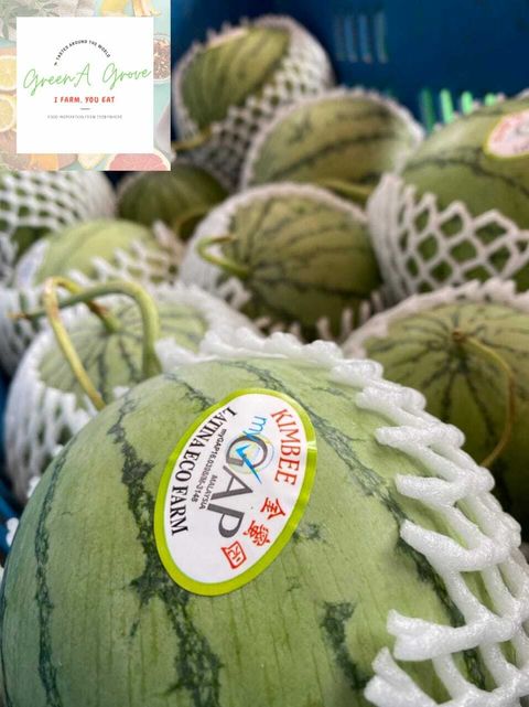 (Pre-Order for next week's delivery) Japan Variety Greenhouse Organically-Grown Eco Farm Sugar Baby Watermelon [2].jpeg