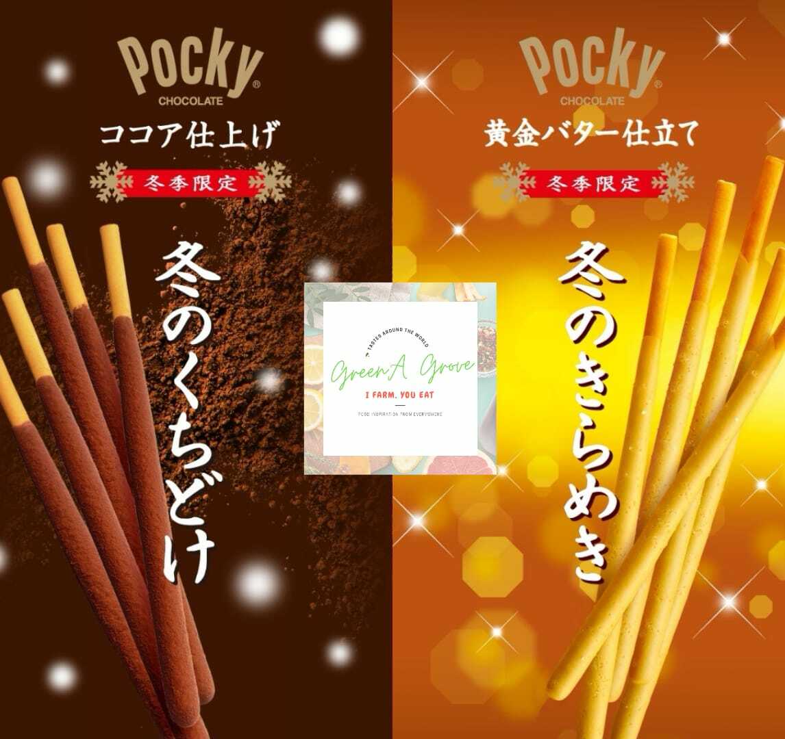 Japan Premium Glico Pocky Winter Limited Chocolate Luxury ~ Winter Fudge Pocky 「冬ポッキー」.jpeg