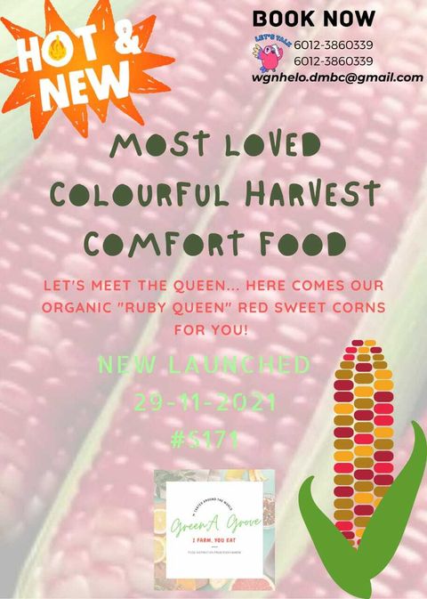 (Pre-Order) Premium 100% Organic Ruby Queen Red Sweet Corns.jpeg