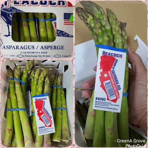 Air-Flown USA:Mexico Premium Quality Fresh Asparagus.jpeg
