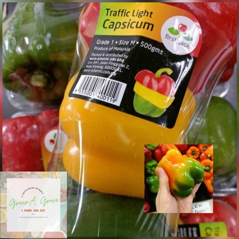 Pahang Premium Sweet Bell Peppers Traffic-Lights Capsicums.jpeg