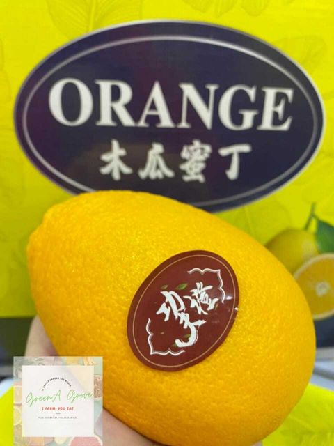 Golden Premium Papaya Orange 木瓜蜜丁功夫橙 [1].jpeg