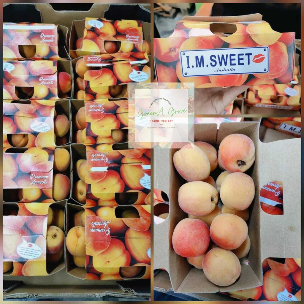 Australia Premium Fresh Sweet Apricots Royal Rosa.jpeg