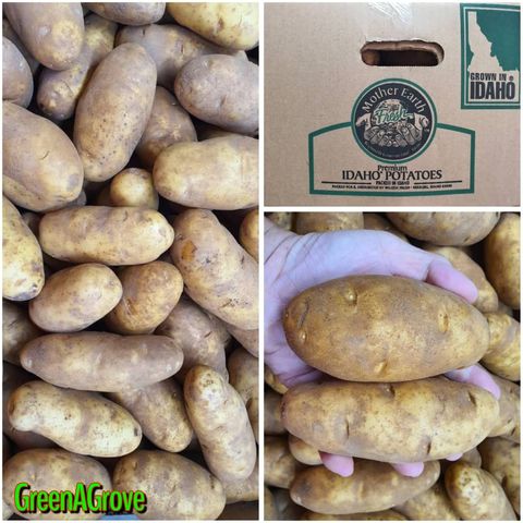 USA Premium Idaho Russet Gold Potatoes.jpeg