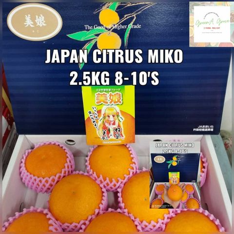 Japan Premium Ōita-Ken Citrus Miko 日本特秀大分県蜜柑.jpeg