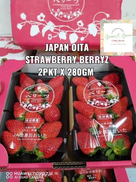 Japan Premium Ōita-Ken Ichigo Strawberries Berryz 日本特秀大分県草莓 (Call for Price).jpeg