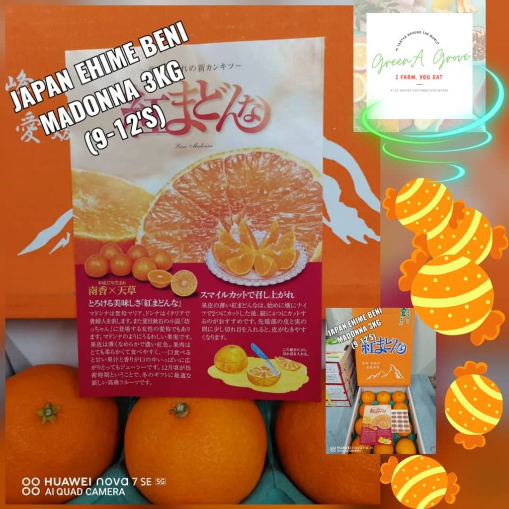 Japan Premium Ehime Mandarin Jelly Beni-Madonna Oranges 日本爱媛特秀蜜柑 (Call for Price).jpeg