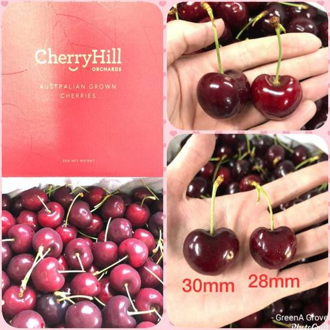 Australian Grown Premium Cherries 澳大利亚车厘子:樱桃 (Regina).jpeg