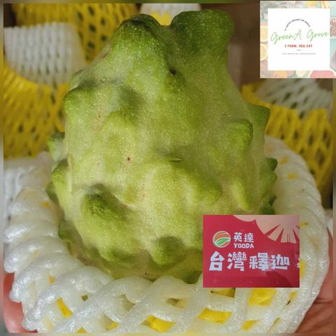 Taiwan Premium Fresh Custard Apple 台湾凤梨释迦 ~ 番荔枝.jpeg