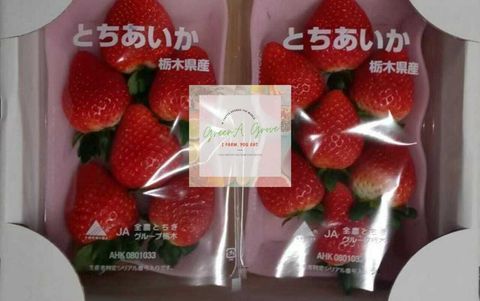 Japan Premium Fresh Tochigi-Ken Strawberries 日本特秀栃木县草莓 (Call for Price).jpeg