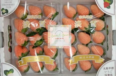 Japan Premium Nara Awayuki Ichigo Strawberries 日本特秀奈良淡雪草莓 (Call for Price).jpeg