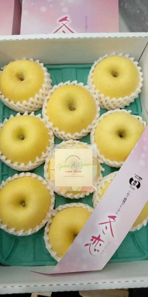 Japan Premium Golden Cream Fuji Fuyu Koi Apples 日本特秀冬恋黄金奶油富士苹果 (Call for Price).jpeg
